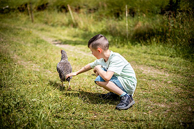 Tierisches Vergnügen am Sonnerhof