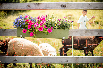 Tierisches Vergnügen am Sonnerhof